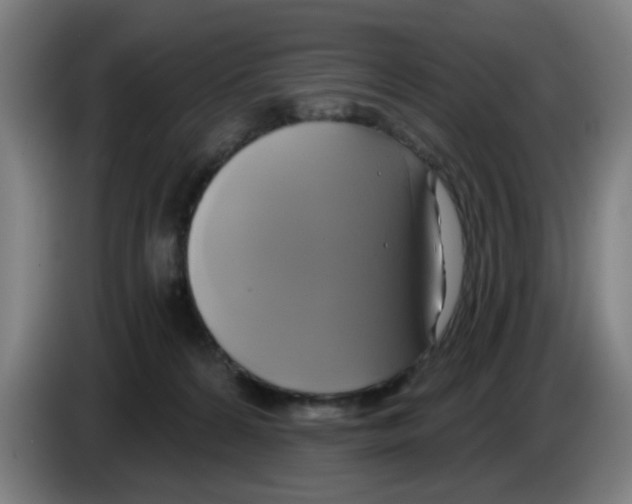 X0000086220224200704261843