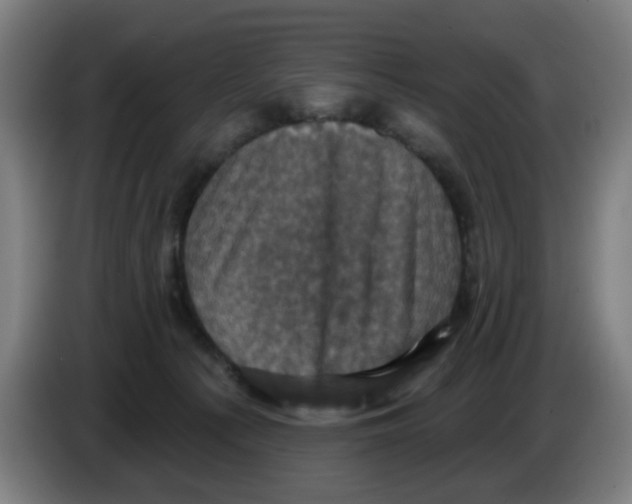 X0000086220225200704261843