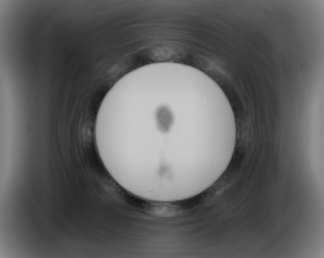 X0000086220226200704261843