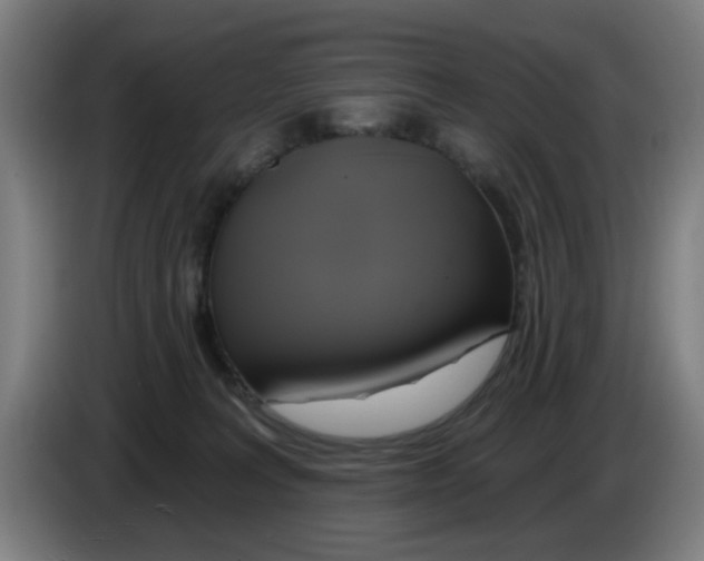 X0000086220227200704261843