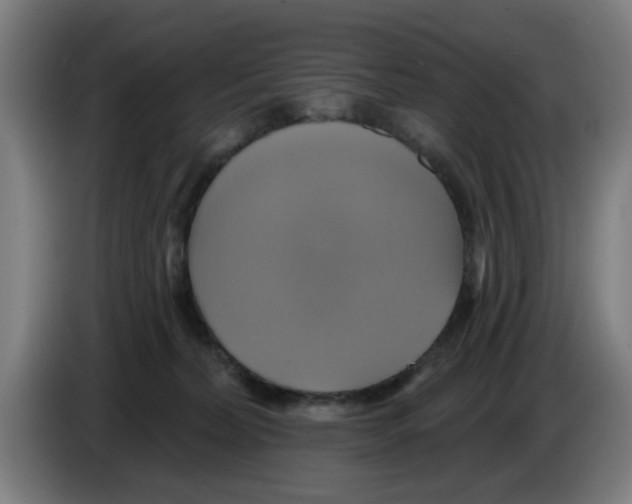 X0000086220228200704261843