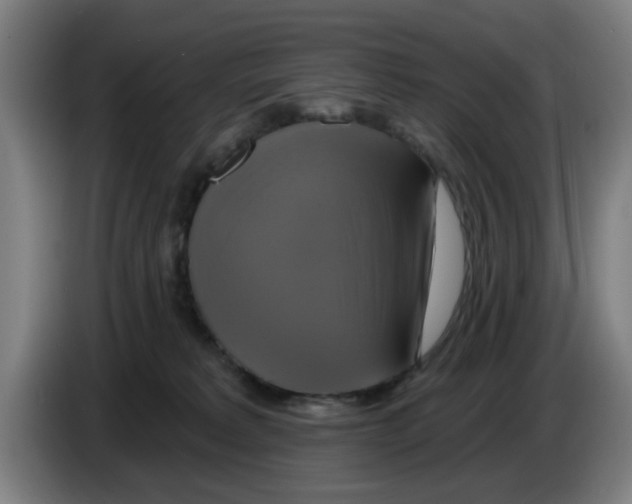 X0000086220229200704261842