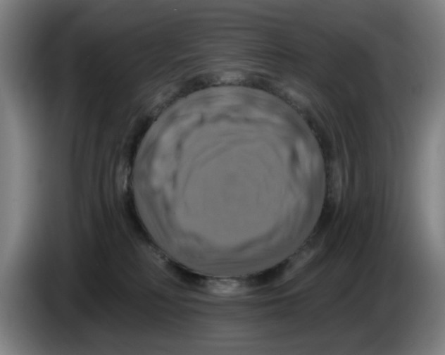 X0000086220230200704261842