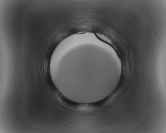 X0000086220231200704261842