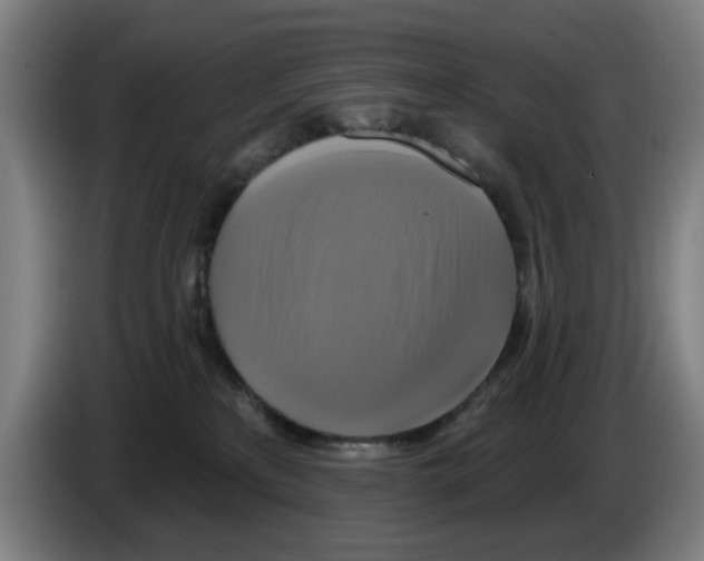 X0000086220233200704261842