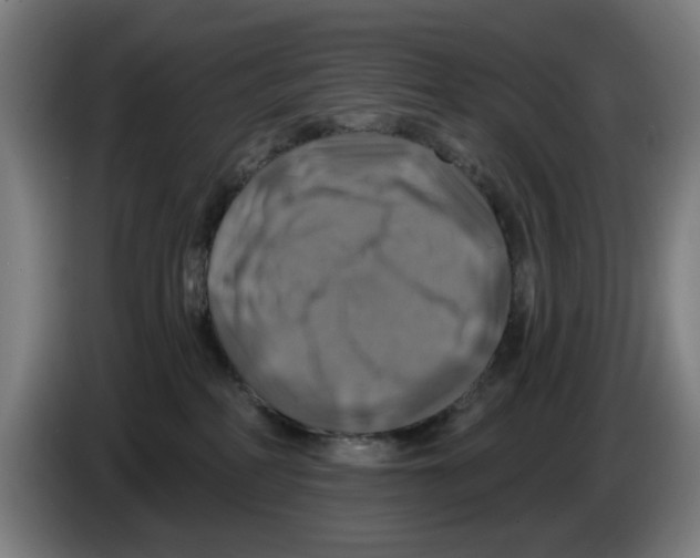 X0000086220234200704261842