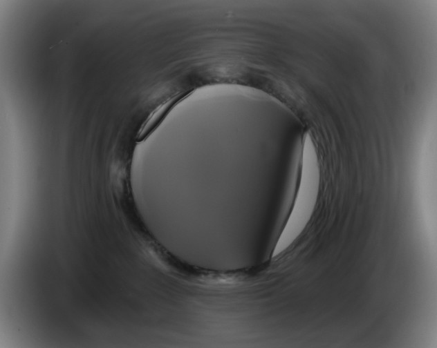 X0000086220235200704261842