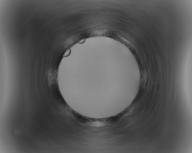 X0000086220236200704261842