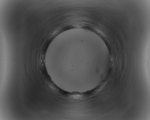 X0000086220237200704261842