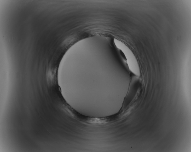 X0000086220239200704261842