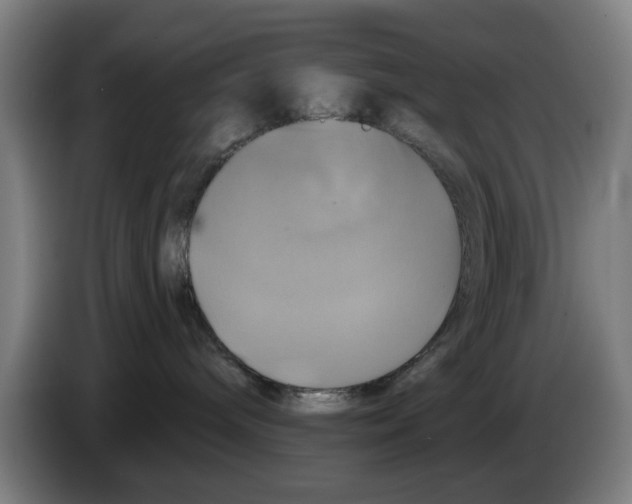 X0000086220240200704261842