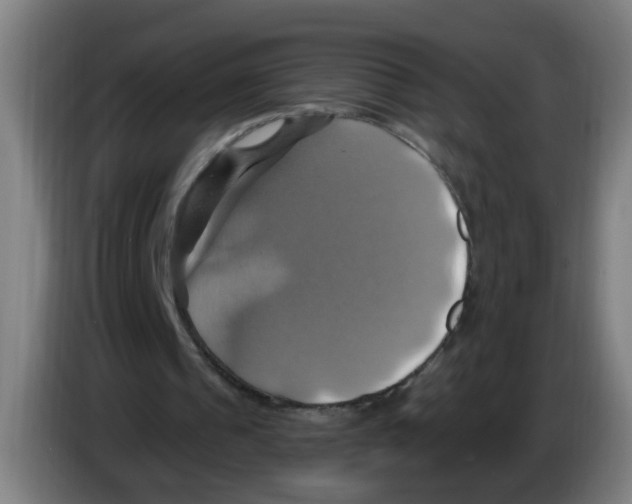 X0000086220241200704261842