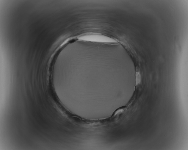 X0000086220243200704261842