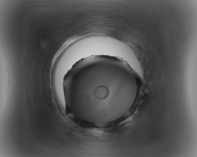 X0000086220244200704261842