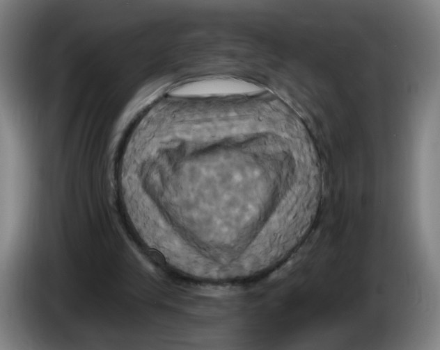 X0000086220245200704261842