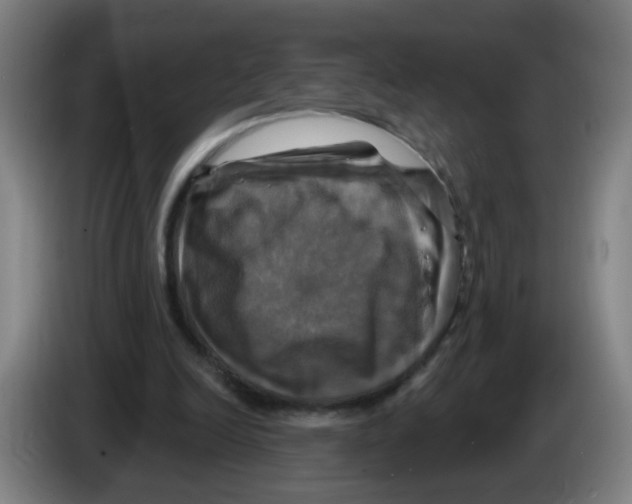 X0000086220246200704261842