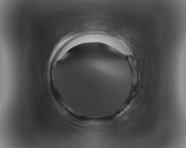 X0000086220248200704261842