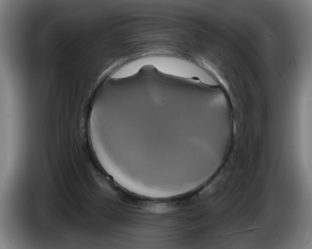 X0000086220249200704261842