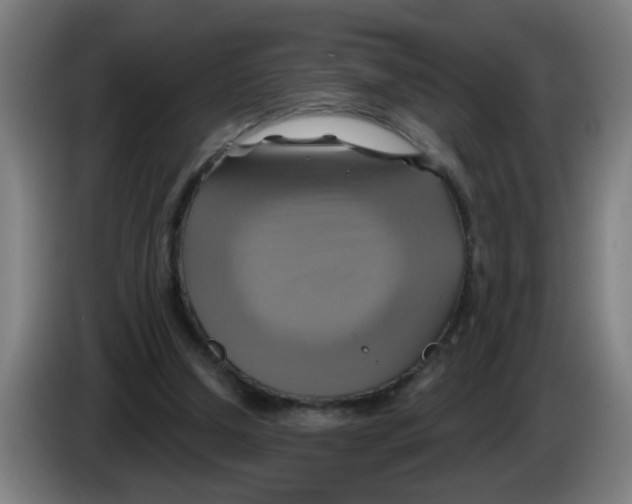 X0000086220250200704261842