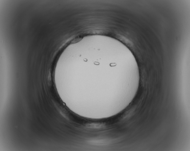 X0000086220251200704261842