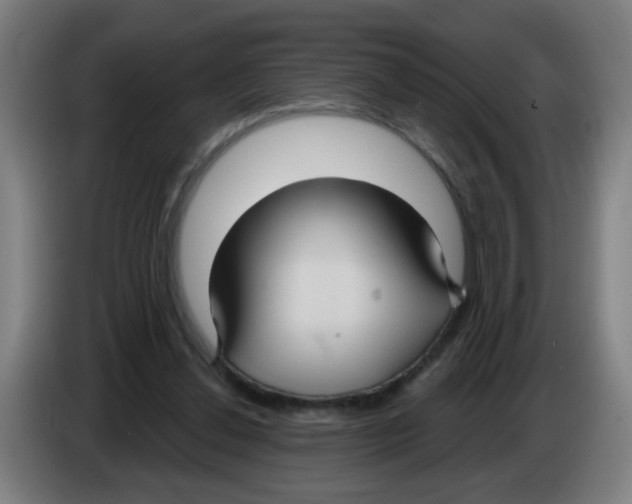 X0000086220252200704261842