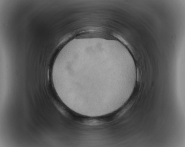 X0000086220253200704261842