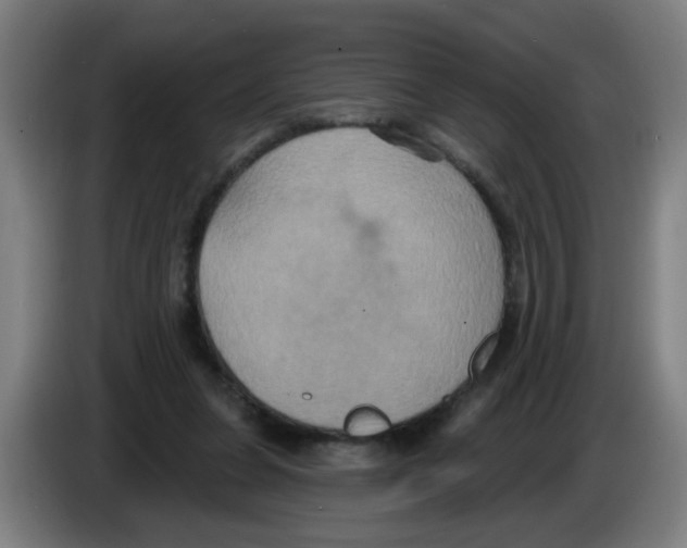 X0000086220255200704261842