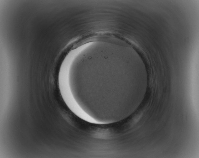 X0000086220256200704261842