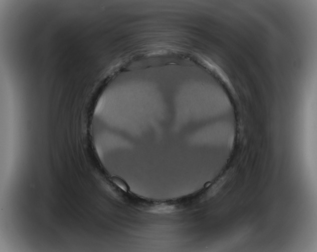 X0000086220257200704261842