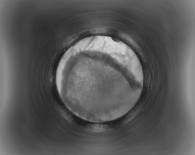 X0000086220261200704261842