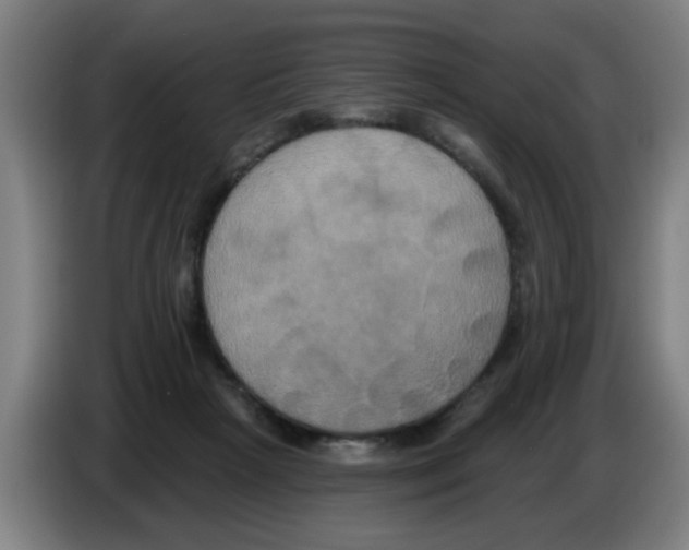 X0000086220265200704261842