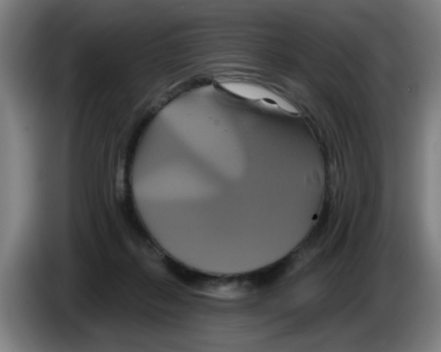 X0000086220267200704261842