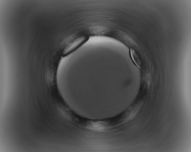 X0000086220268200704261842