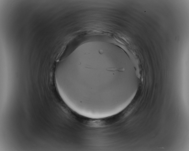 X0000086220269200704261842