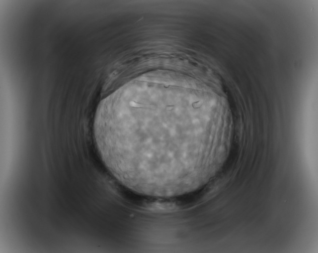 X0000086220270200704261842