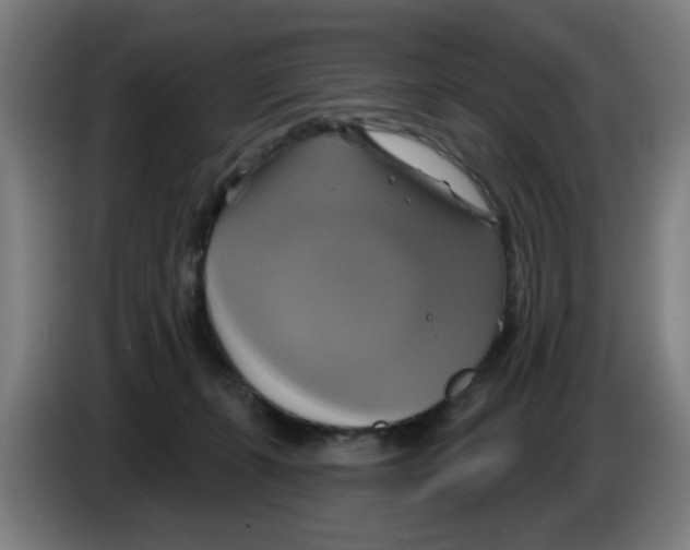 X0000086220271200704261842