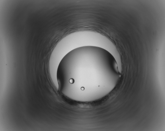 X0000086220272200704261842