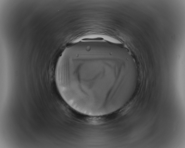 X0000086220273200704261842