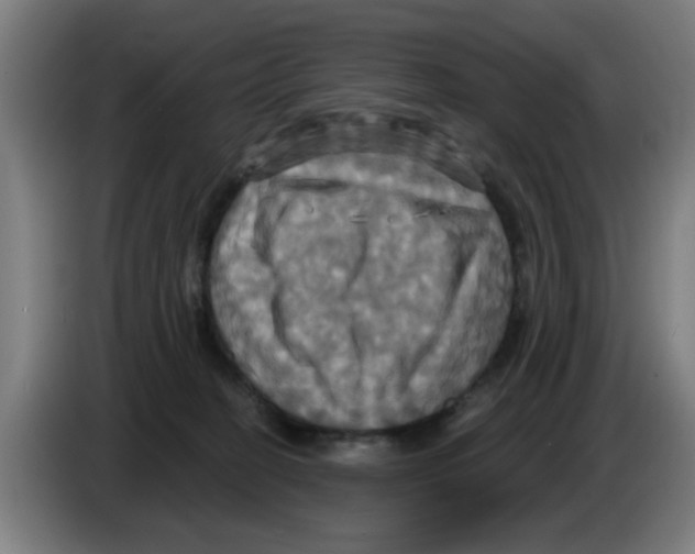 X0000086220274200704261842