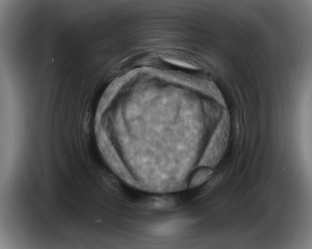 X0000086220275200704261842