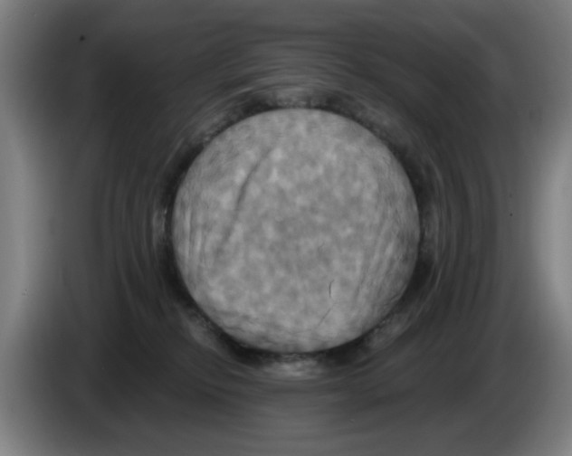 X0000086220278200704261842