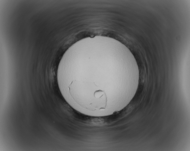 X0000086220279200704261842