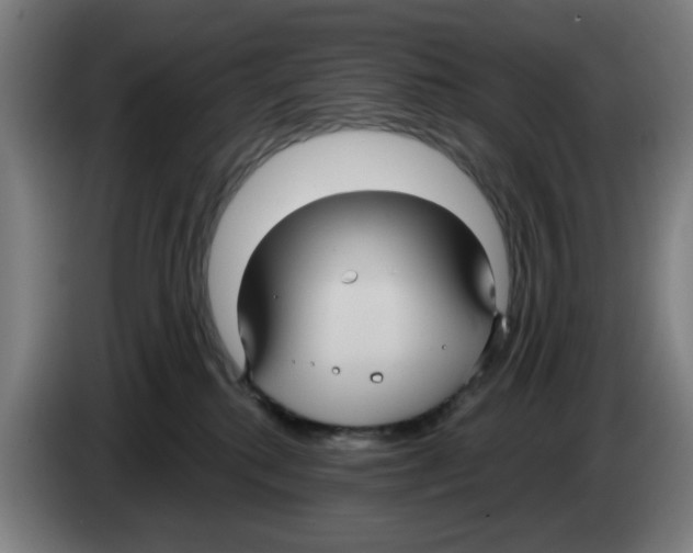 X0000086220280200704261842