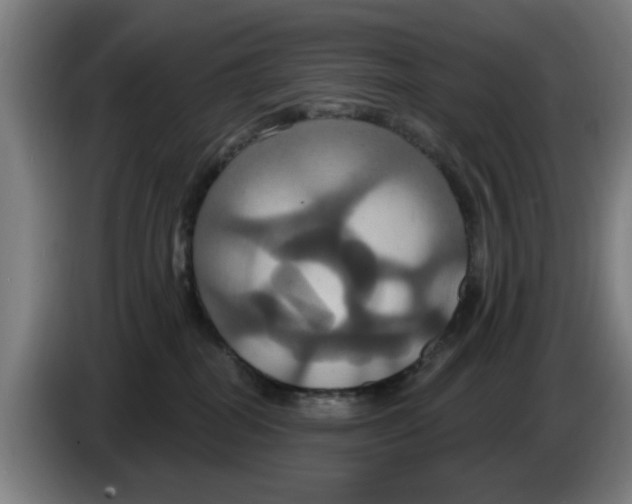 X0000086220282200704261842