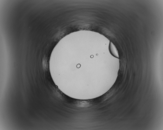 X0000086220287200704261842