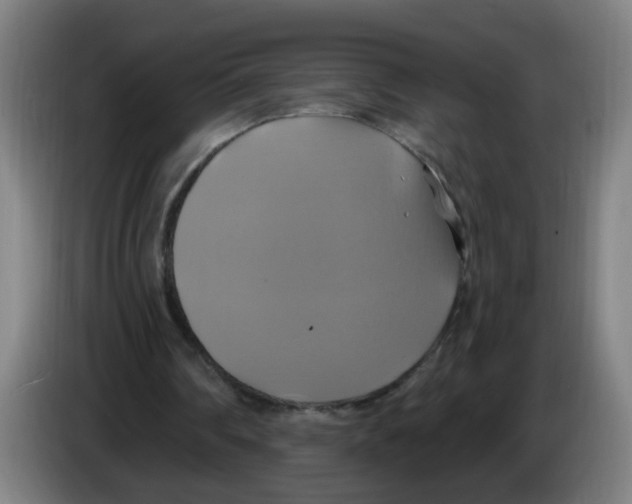 X0000086220290200704261842