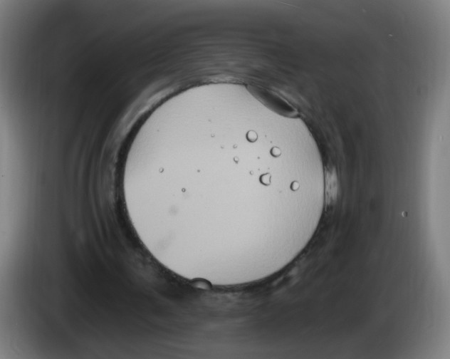 X0000086220291200704261842