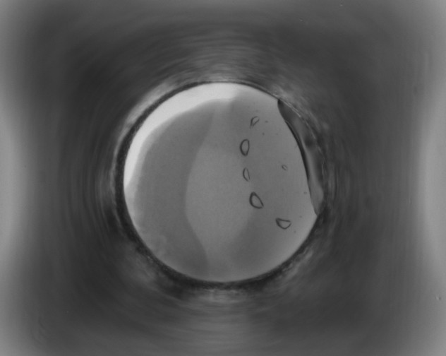 X0000086220292200704261842