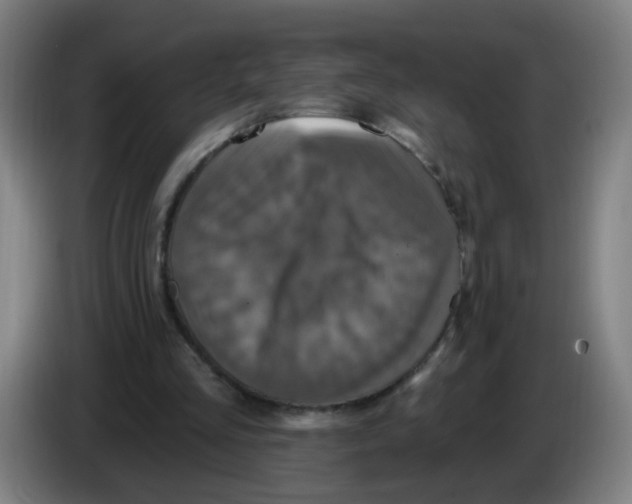 X0000086220293200704261842