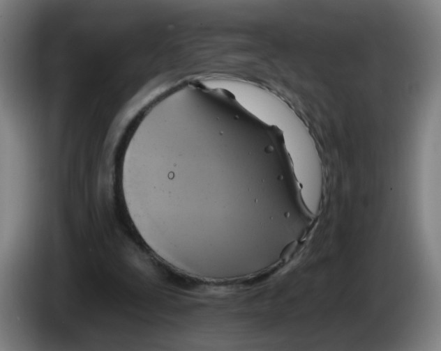 X0000086220295200704261842